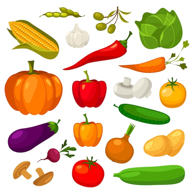 Vector conjunto de verduras aislado en blanco