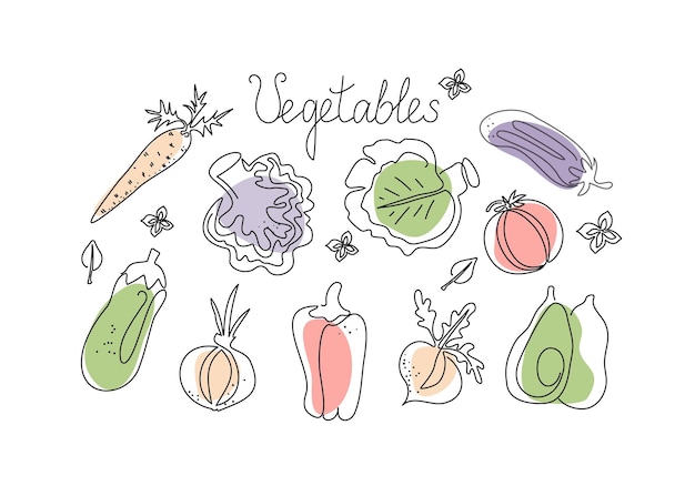 Conjunto de verduras al estilo del arte lineal Dibujo de una línea Gráficos vectoriales Fondo aisladox9