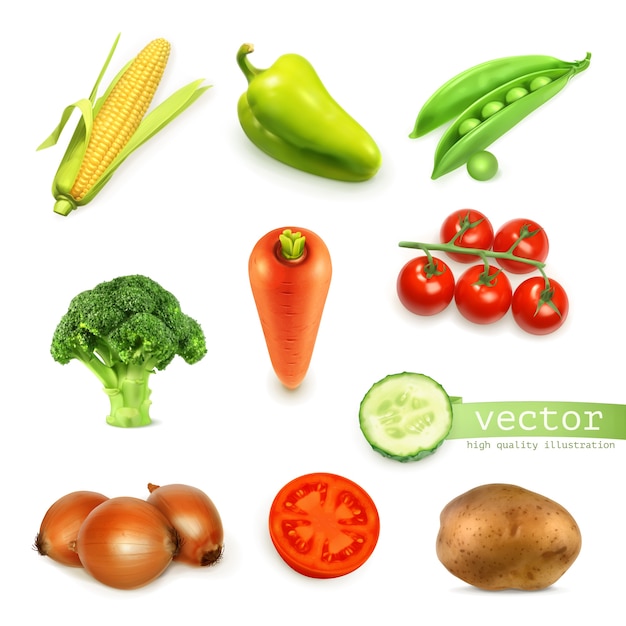 Vector conjunto de verduras conjunto ilustración