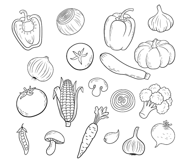 Vector conjunto de verduras en estilo de esquema sketch tomate ajo calabaza calabacín maíz brócoli aislado en blanco vector dibujado a mano línea arte