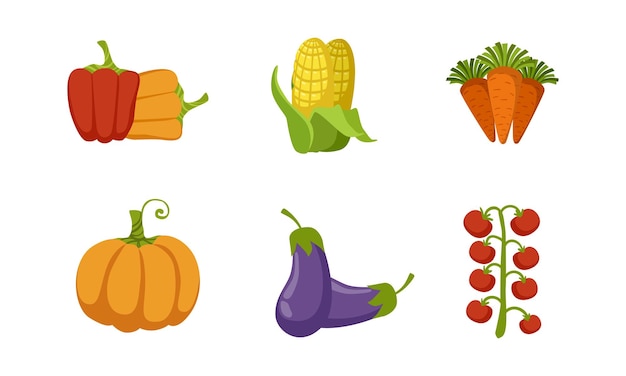 Vector el conjunto de verduras frescas, la pimienta, el maíz, la zanahoria, el tomate, la berenjena, la calabaza, la ilustración vectorial