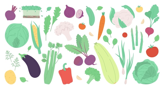 Vector conjunto de verduras y hierbas frescas aisladas en blanco ilustración vectorial moderna en estilo dibujado a mano