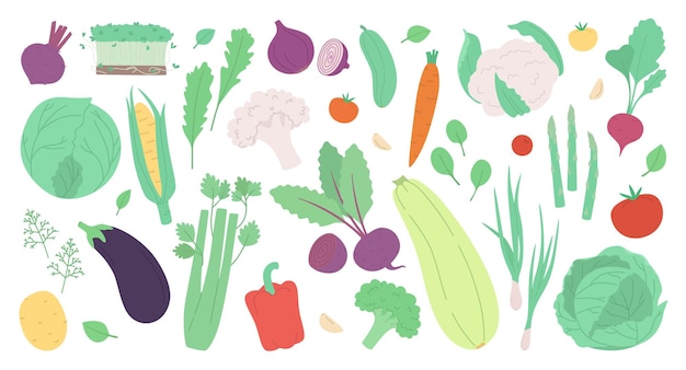 Conjunto de verduras y hierbas frescas aisladas en blanco Ilustración vectorial moderna en estilo dibujado a mano