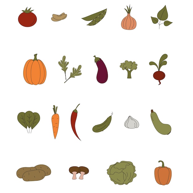 Conjunto de verduras planas Ilustración vectorial de íconos