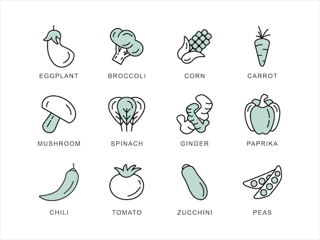 Conjunto de verduras vegetales vegetarianas diseño de iconos web con estilo de contorno Colección de iconos de contorno