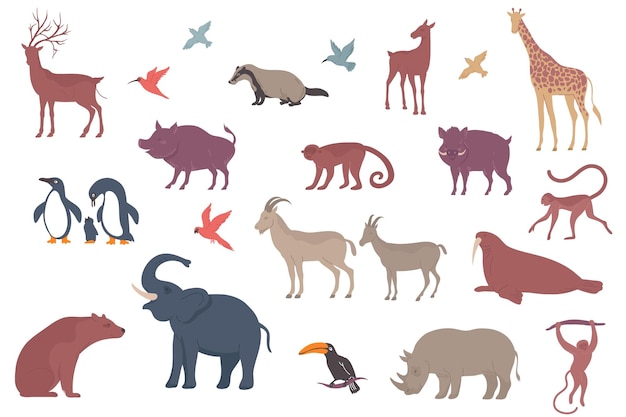 Vector conjunto de vida silvestre con iconos planos aislados de aves tropicales con imágenes de animales exóticos en la ilustración de vector de fondo en blanco