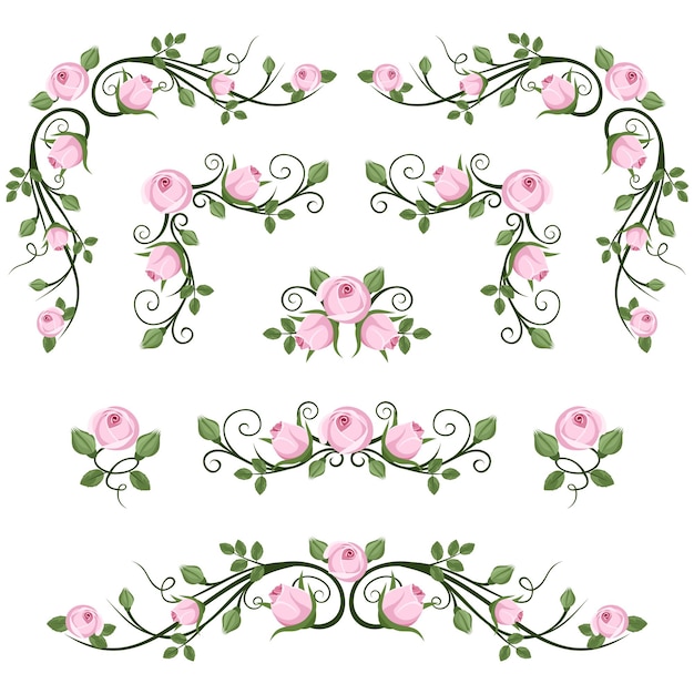 Vector conjunto de viñetas caligráficas vintage con capullos de rosa sobre un fondo blanco ilustración vectorial