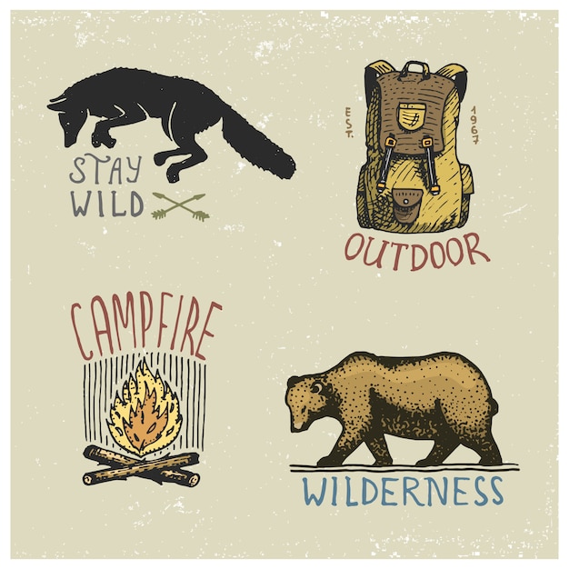 Conjunto de vintage grabado, dibujado a mano, viejo, etiquetas o insignias para acampar, caminar, cazar con lobos salvajes, osos grizzly, capmfire, mochila