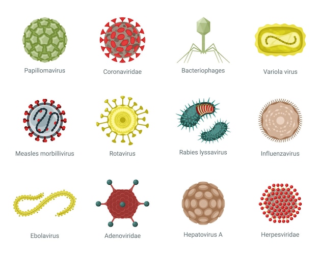 Conjunto de virus de estructura microscópica