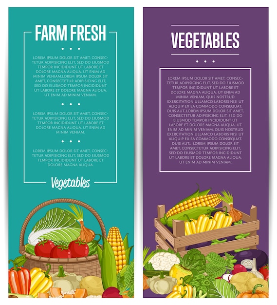 Vector conjunto de volante de cultivo de hortalizas orgánicas