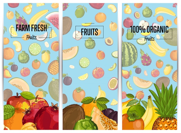 Vector conjunto de volantes verticales de fruta fresca de granja