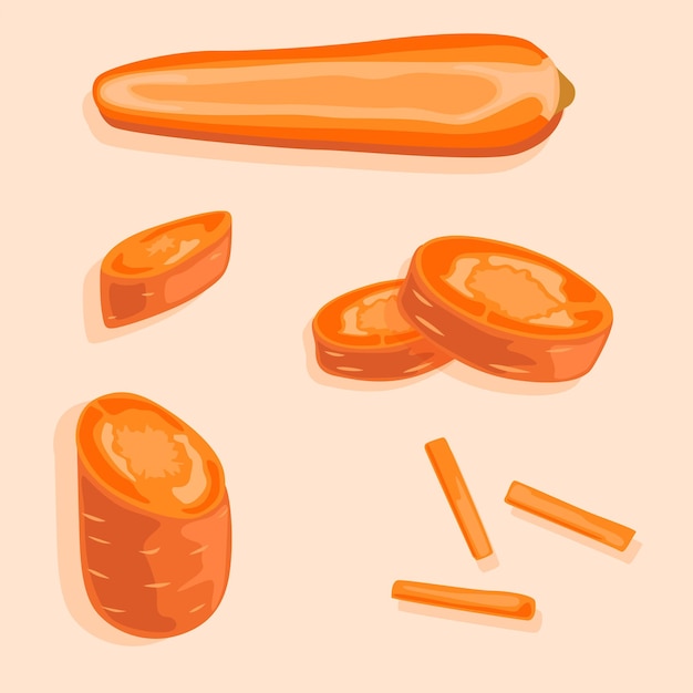 Un conjunto de zanahorias cortadas por la mitad y en rodajas Iconos para cocinar Gráficos vectoriales Alimentos dietéticos saludables