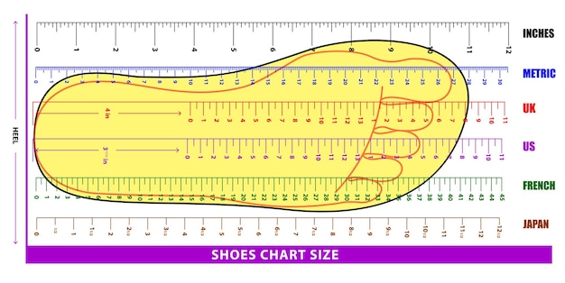 conjunto de zapatos, tabla de tallas o calcetines, tabla de tallas o medidas, concepto de tabla de pies, vector de pasos