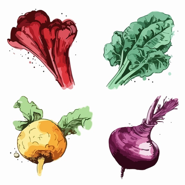 Conjuntos de vegetales Paquete de pintura de acuarela de vegetales