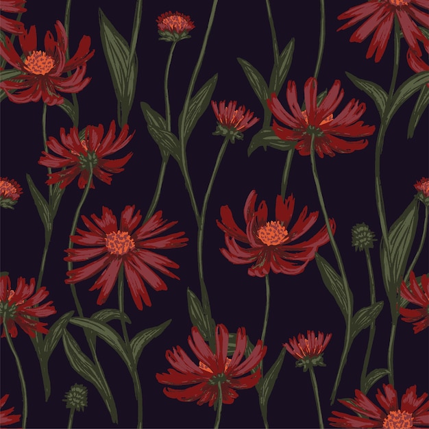 Cono flor o plantas de equinácea de patrones sin fisuras. Ilustración de vector dibujado a mano. Adorno botánico de flores silvestres. Diseño vintage para fondo, textil, papel tapiz.