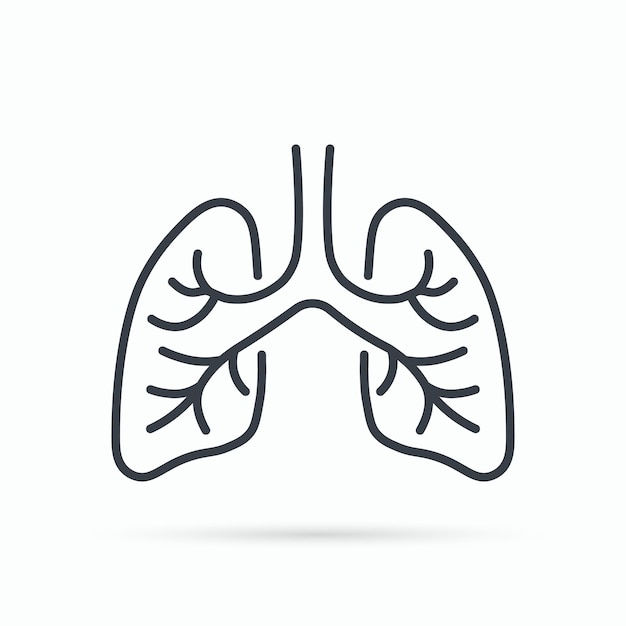Ícono de línea de pulmones Sistema respiratorio pulmón sano órgano médico plano