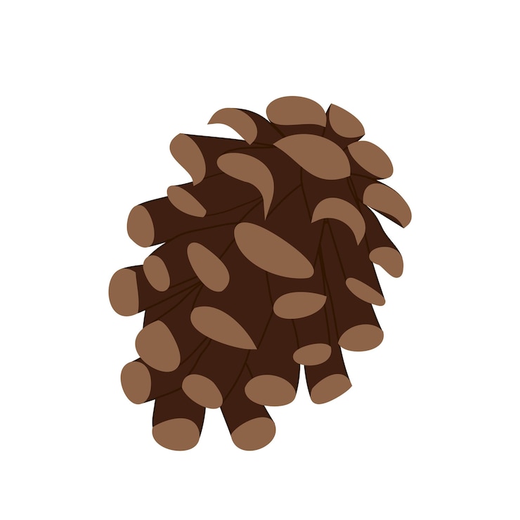 Vector cono de pino aislado sobre un fondo blanco. cono de abeto por separado. decoración de invierno. navidad