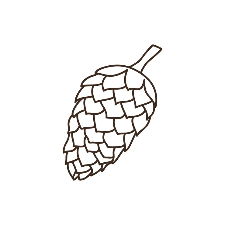 Vector cono de pino de navidad dibujado a mano aislado sobre fondo blanco ilustración de boceto de garabato decorativo elemento vectorial