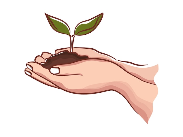 Conservación de las plantas mediante la siembra manual Conservación del medio ambiente