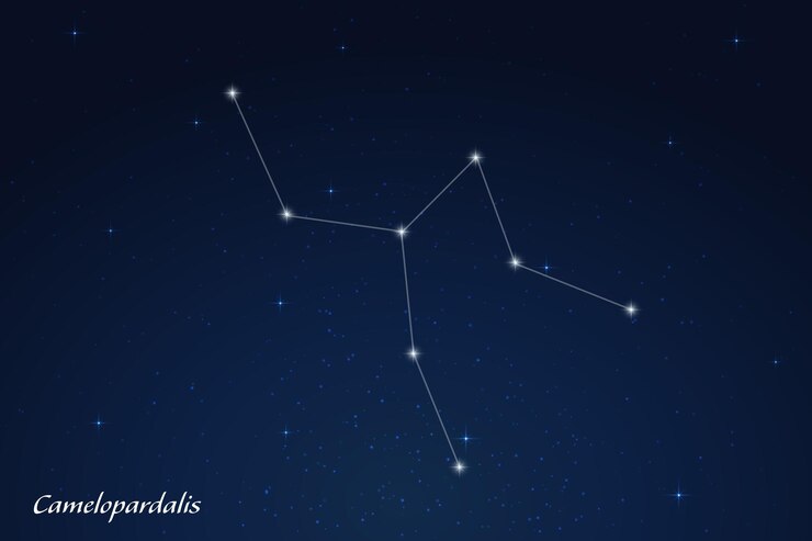 Vector la constelación de camelopardalis con nombres de estrellas en el cielo nocturno