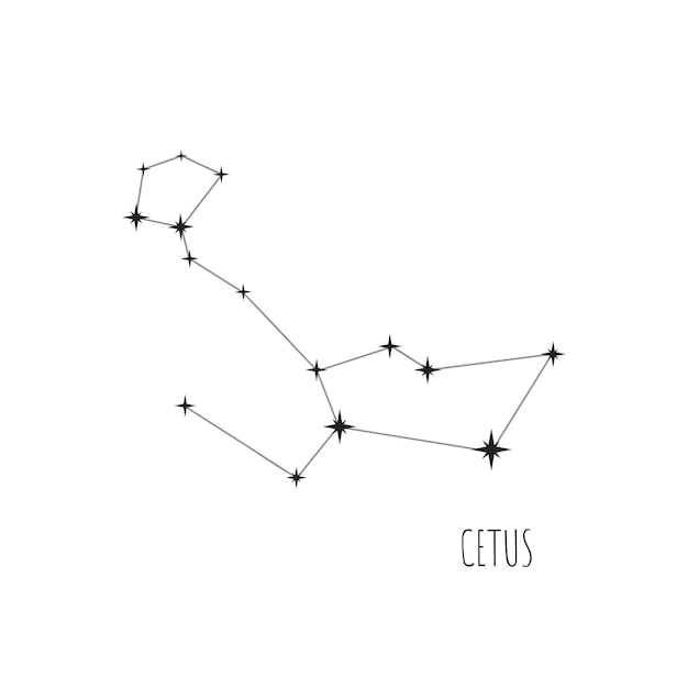 Vector constelación cetus doodle dibujo icono lineal de 88 constelaciones conjunto