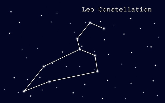 Vector constelación de leo en el fondo del cielo estrellado. plantilla de infografía. ilustración vectorial