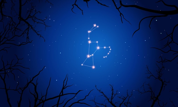Constelación de orión. ramas de árboles, cielo estrellado azul oscuro, cosmos.