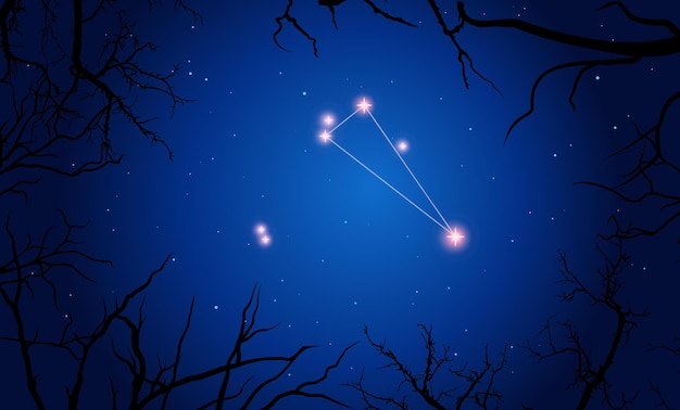 Constelación de Triangulum, constelación brillante en espacio abierto, cielo azul, cielo estrellado detrás del árbol