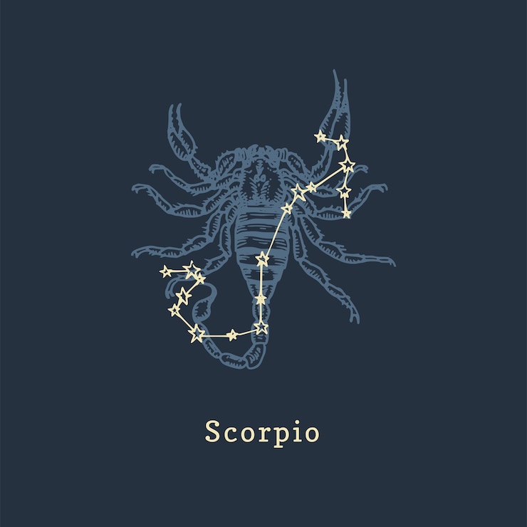 Vector constelación del zodiaco de escorpión en estilo de grabado ilustración gráfica retro vectorial del signo astrológico escorpio