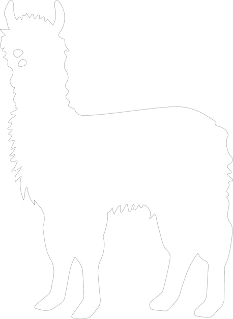 Vector contorno de alpaca con fondo transparente