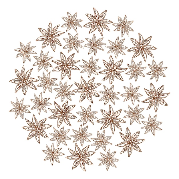 Contorno anís estrella fondo redondo textura hierbas y especias día saludos plantilla de concepto de telón de fondo