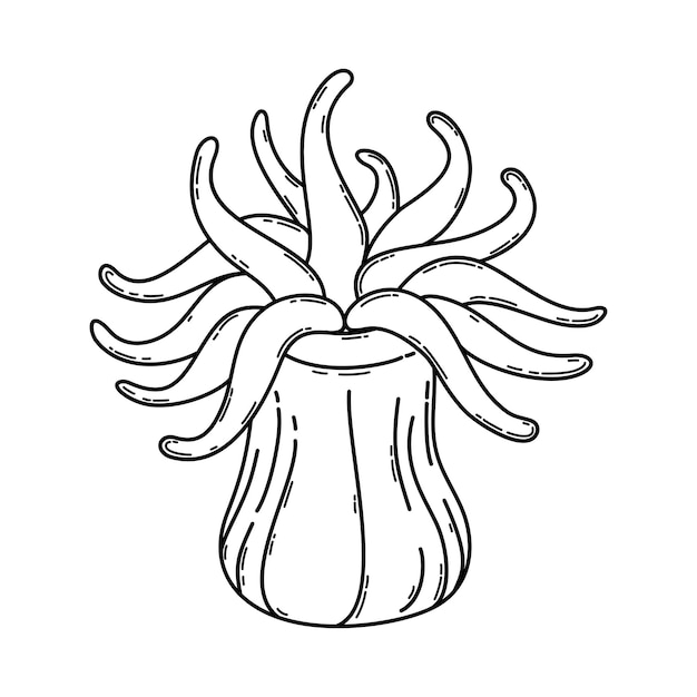 Contorno blanco y negro aislado de actinia marina