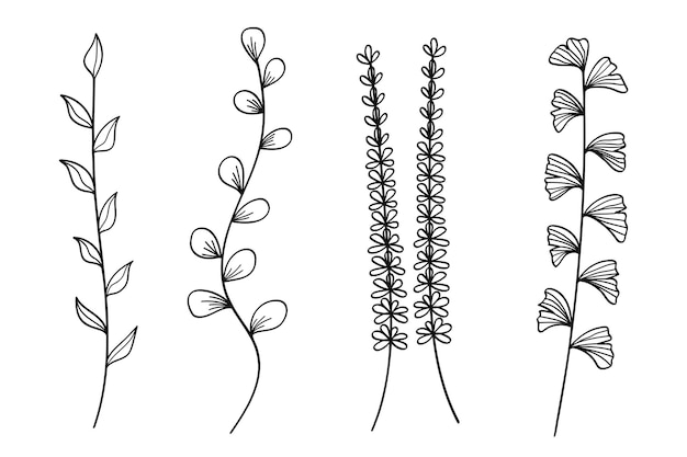 Contorno botánico Colección de flores y hojas Ilustración vectorial