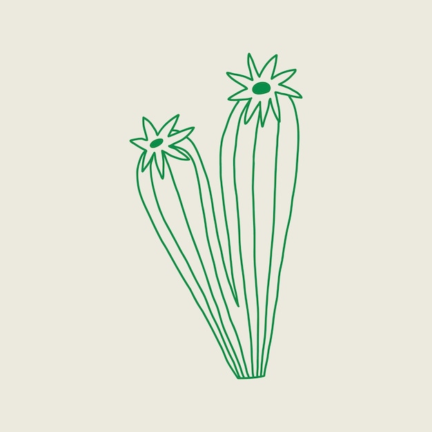 Contorno de cactus con flores en flor