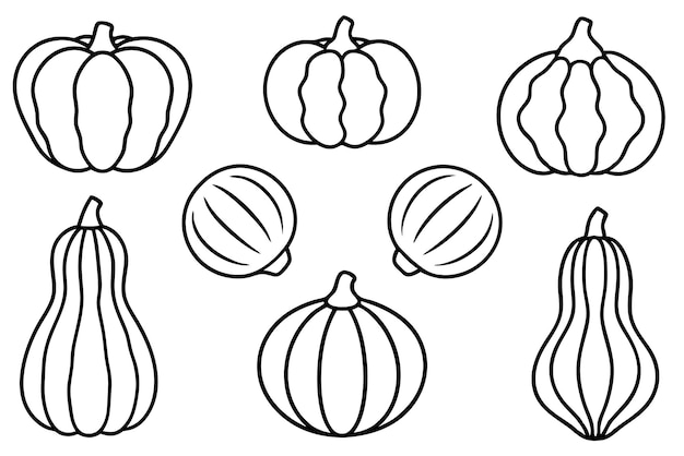 El contorno de la calabaza es elegante, moderno y detallado.