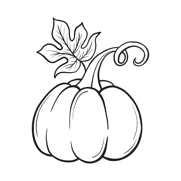 Contorno calabaza de otoño dibujo de línea libro de colorear