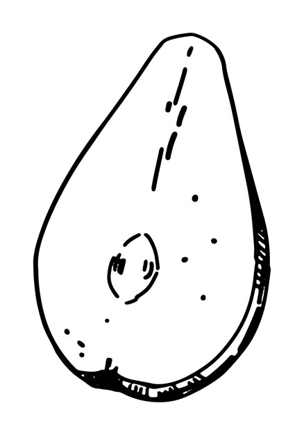 Contorno clipart de la mitad de una fruta de pera Doodle de la cosecha del jardín de otoño Ilustración vectorial dibujada a mano aislada sobre fondo blanco