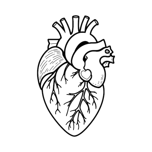 Contorno de corazón dibujo a mano página de colorear diseño vectorial e ilustración