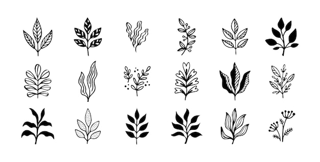 Contorno dibujado a mano garabateo elementos florales conjunto de hojas hojas de plantas diseño vectorial ilustración vectorial