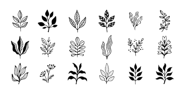 Contorno dibujado a mano garabateo elementos florales conjunto de hojas hojas de plantas diseño vectorial ilustración vectorial