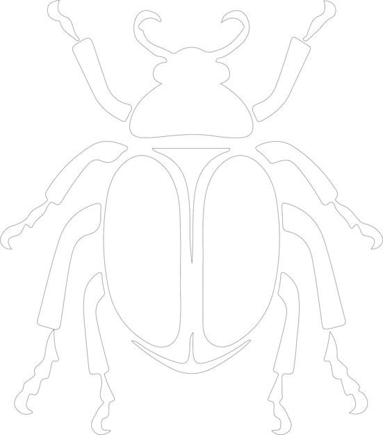 Vector contorno de escarabajo con fondo transparente