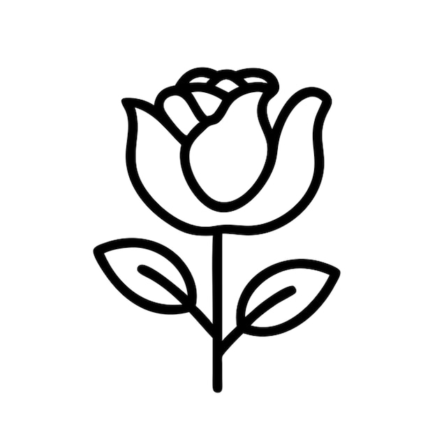 un contorno de la flor de la peonía