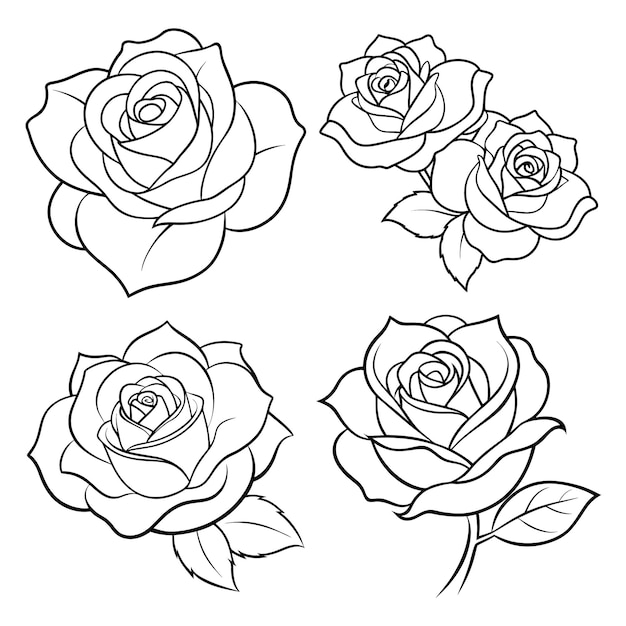 Contorno de flor de rosa libro de colorear página de arte de línea dibujo ilustración vectorial