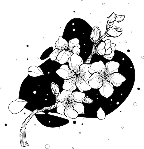 Vector contorno de la flor de sakura