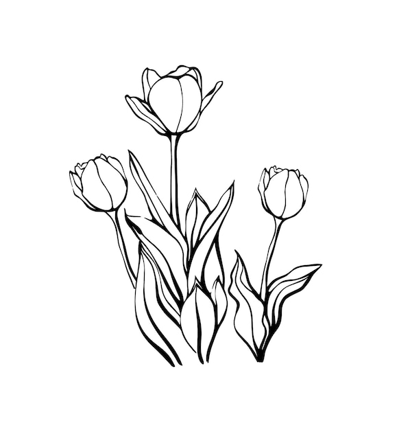 Un contorno de flor de tulipán en el estilo de garabateo