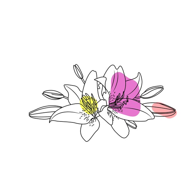 Contorno floral Ilustración simple de flores dibujadas a mano