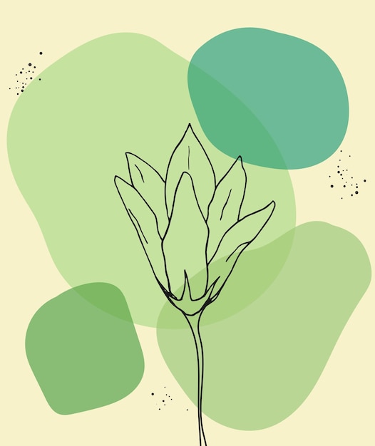 Contorno de flores en fondo verde y beige abstracto Arte botánico simple Ilustración vectorial