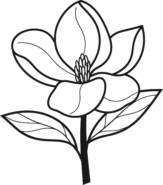 Contorno de flores para niños libros de colorear con fondo blanco