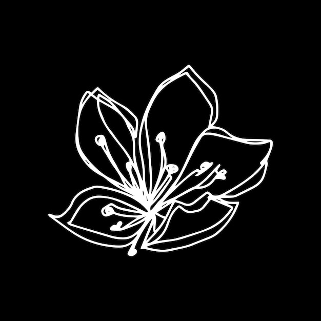 Vector contorno florístico botánico flor cereza sakura manzano capullos abiertos vector único aislado minimalista flor blanca y negra