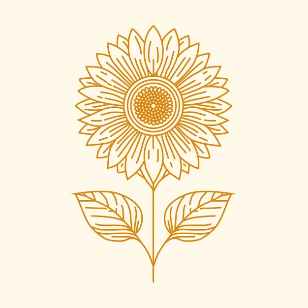 Vector contorno de girasol